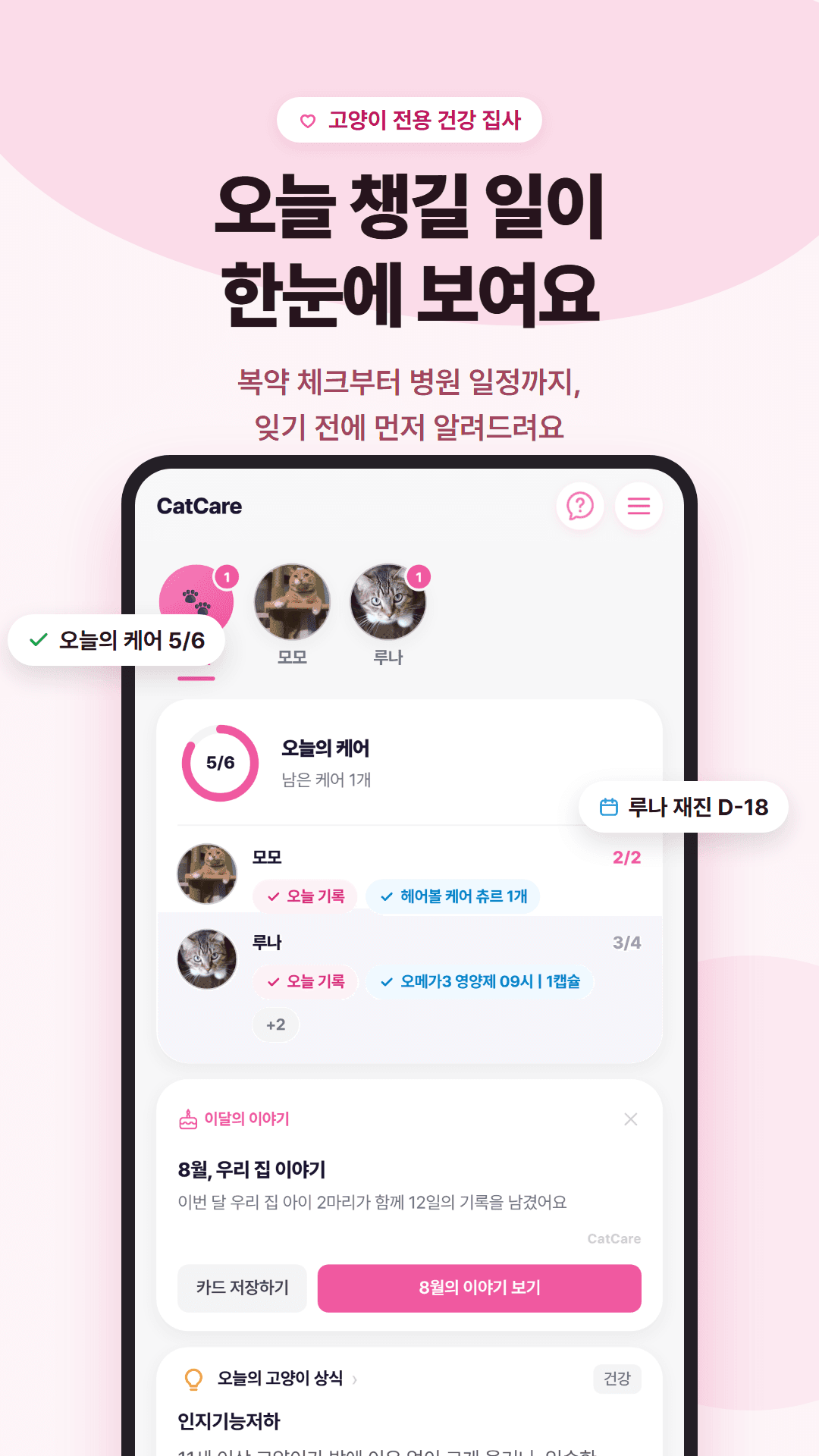 CatCare 앱 홈 화면