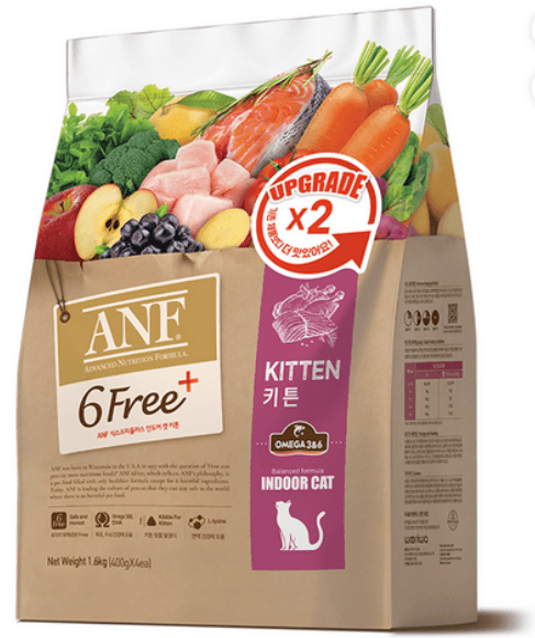 ANF ANF 6Free GOLD 캣 키튼